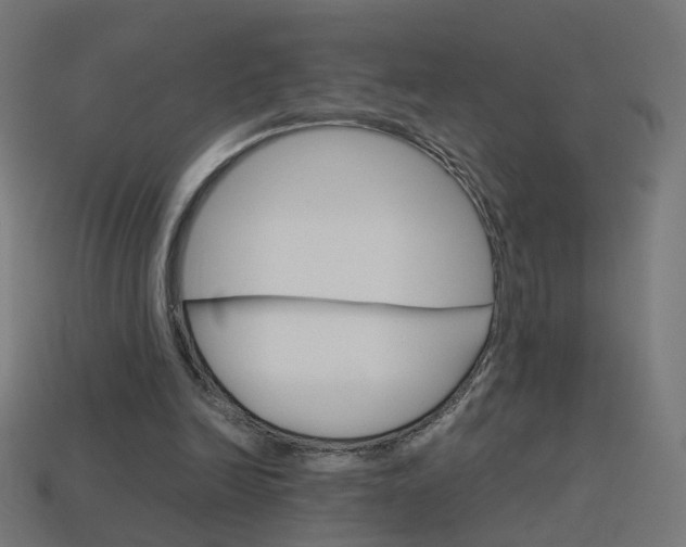 X0000114150246200910081119
