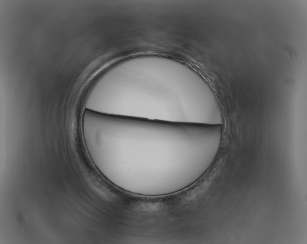 X0000114150247200910081119