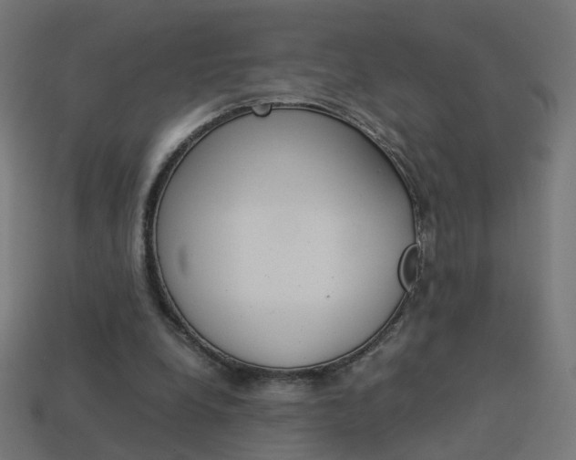 X0000114150248200910081119