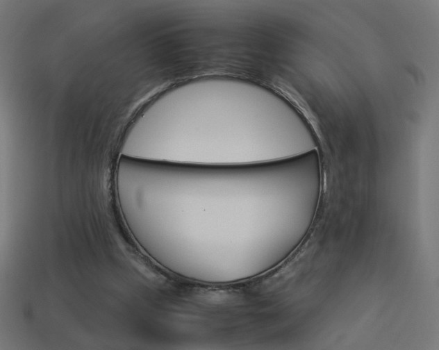 X0000114150249200910081119