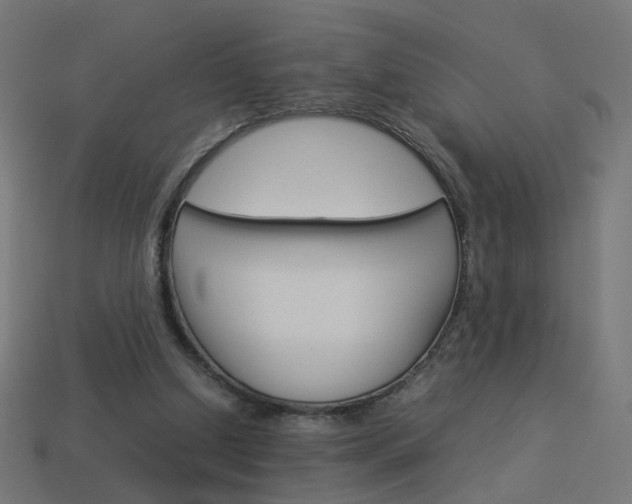 X0000114150250200910081119