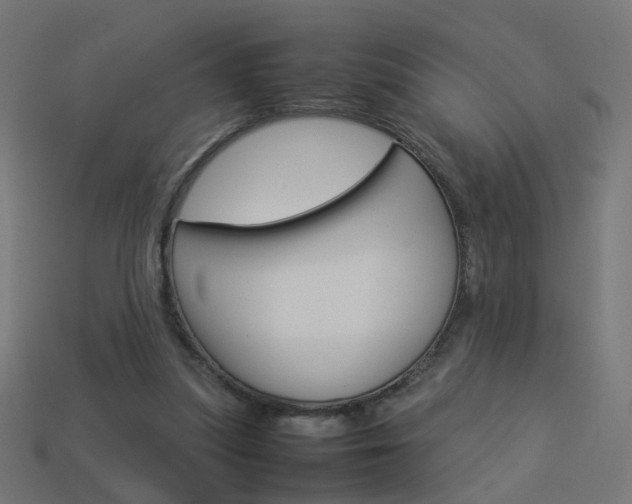 X0000114150251200910081119