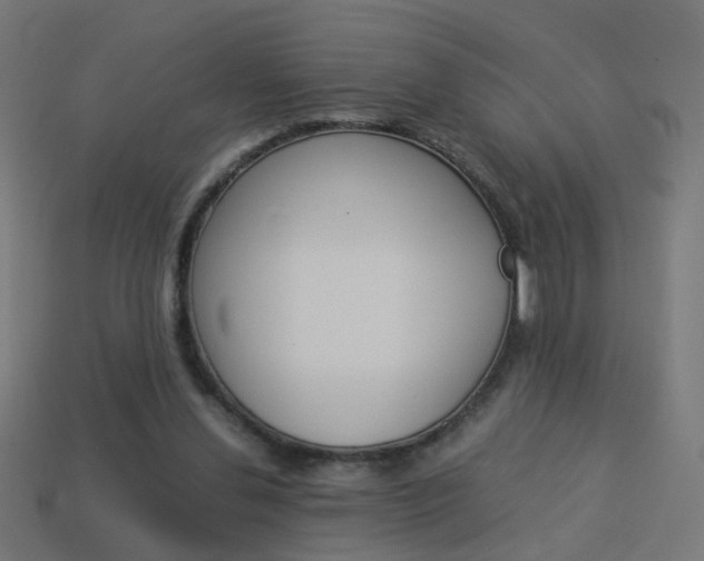 X0000114150252200910081119