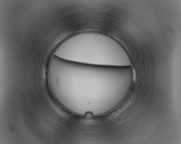 X0000114150253200910081119