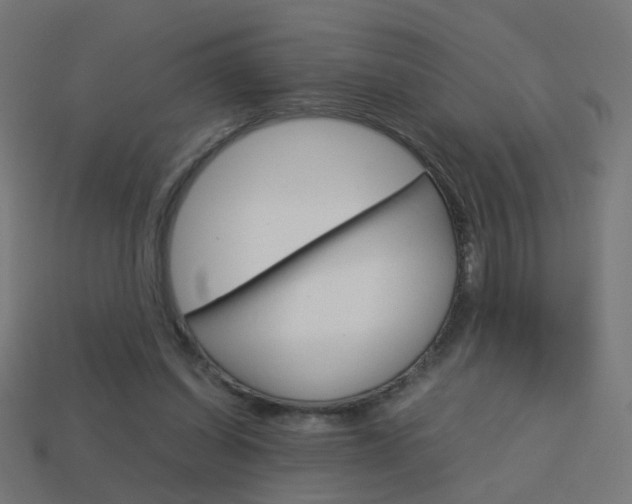 X0000114150254200910081119