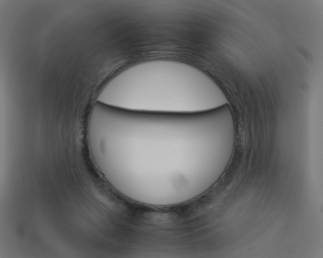 X0000114150255200910081119