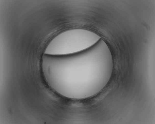 X0000114150258200910081119