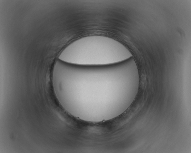 X0000114150259200910081119