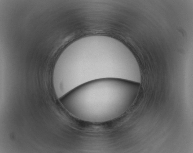 X0000114150260200910081119
