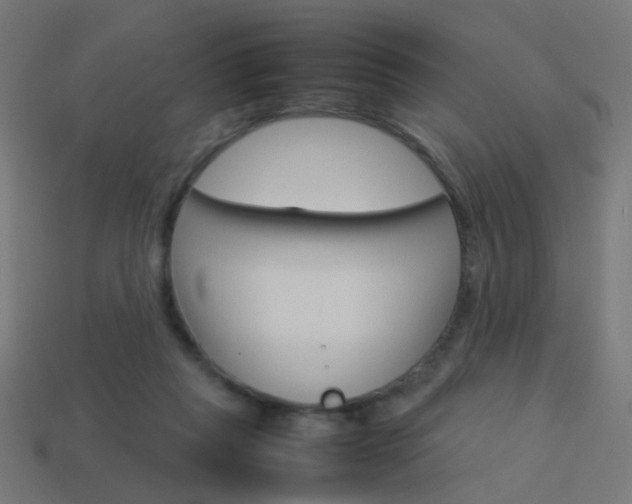 X0000114150261200910081119