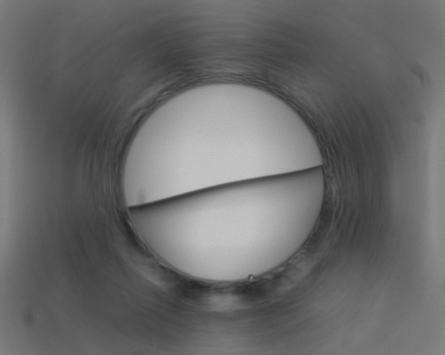 X0000114150262200910081119