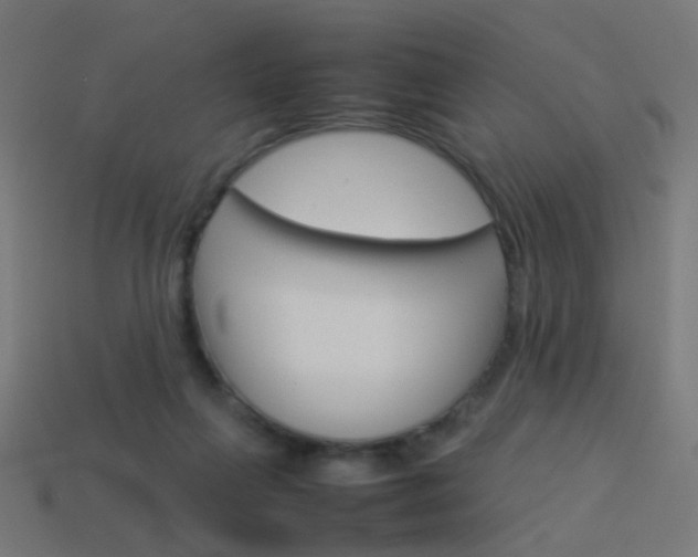 X0000114150263200910081119