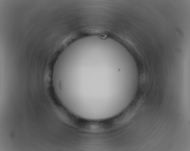 X0000114150264200910081119