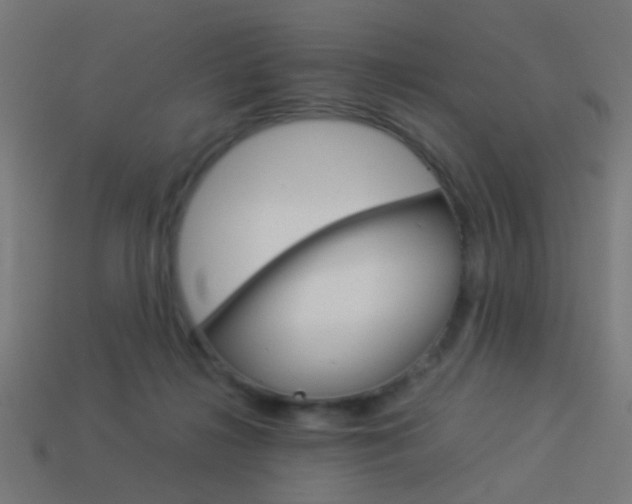 X0000114150268200910081119