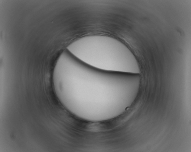 X0000114150269200910081119
