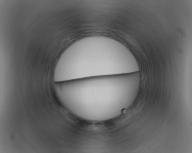 X0000114150270200910081119
