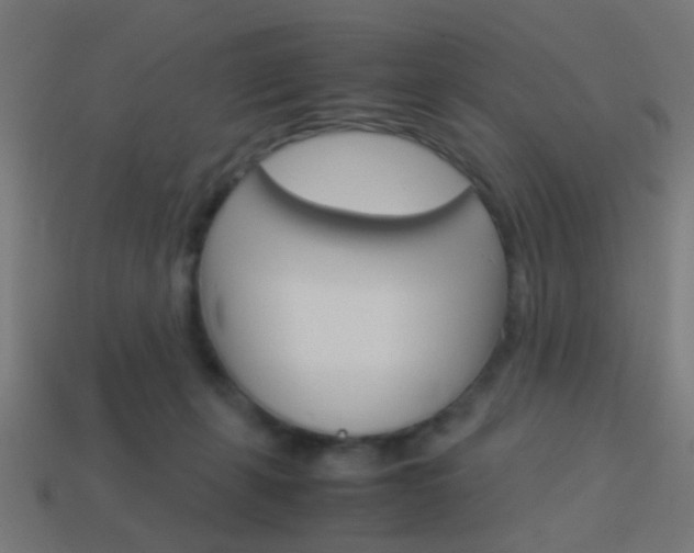 X0000114150271200910081119