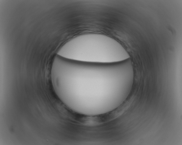 X0000114150273200910081119