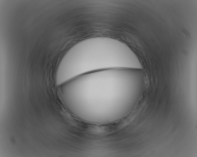 X0000114150276200910081119