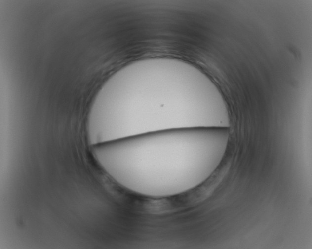 X0000114150277200910081119