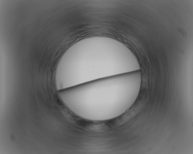 X0000114150278200910081119