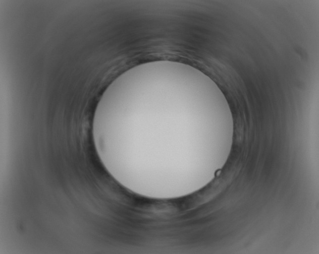 X0000114150279200910081119