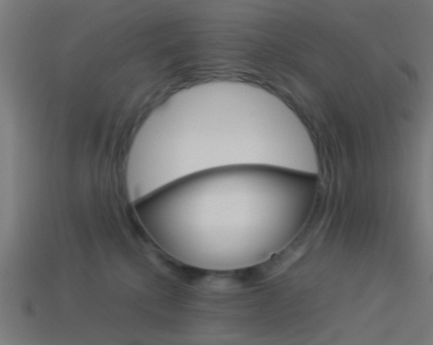 X0000114150280200910081119