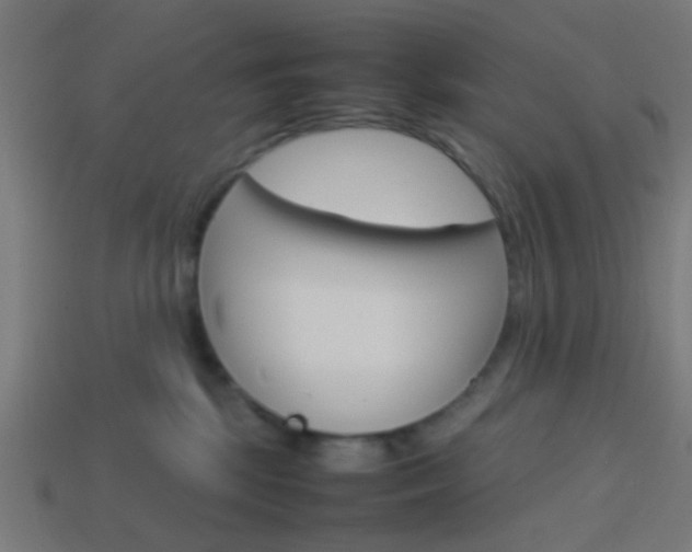 X0000114150281200910081119
