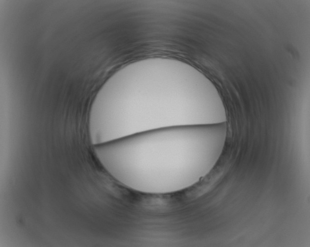 X0000114150282200910081119