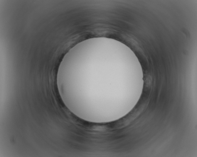X0000114150283200910081119