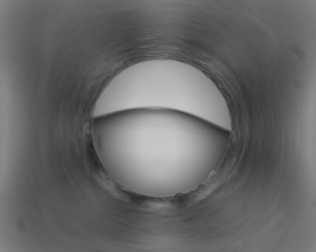 X0000114150284200910081119