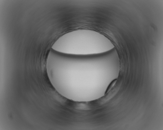 X0000114150285200910081119
