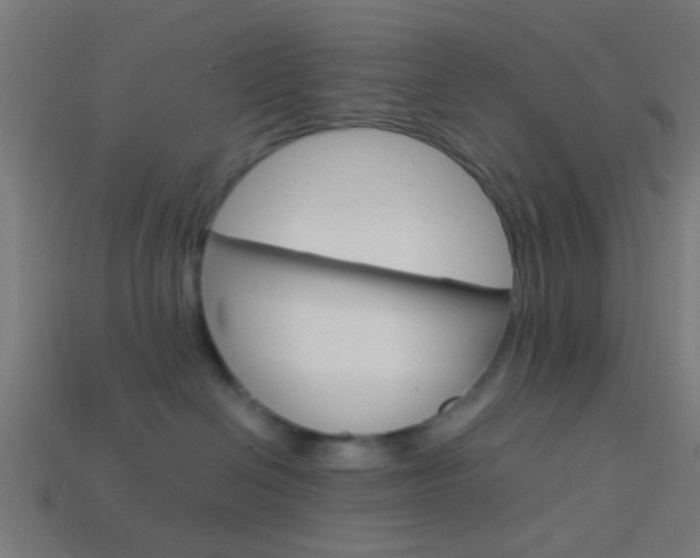 X0000114150286200910081119