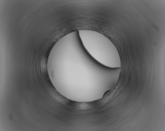 X0000114150287200910081119