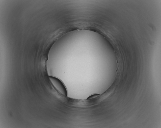 X0000114150288200910081119