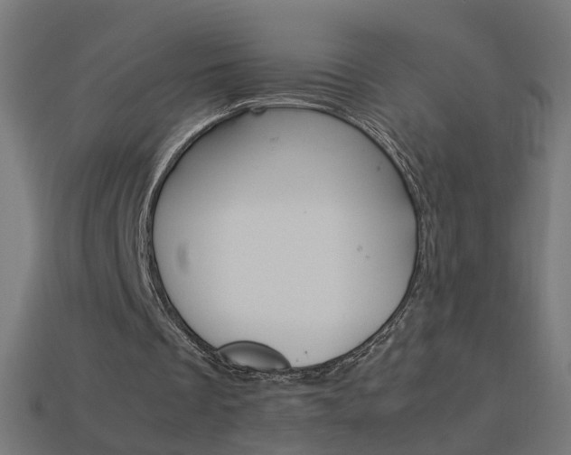 X0000114150289200910081119
