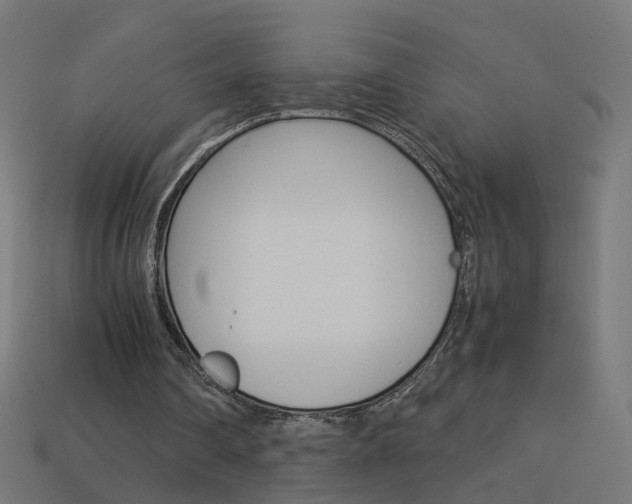 X0000114150290200910081119