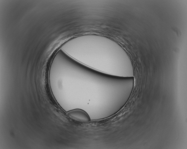 X0000114150291200910081119