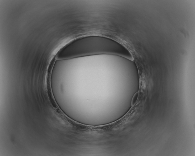 X0000114150292200910081119