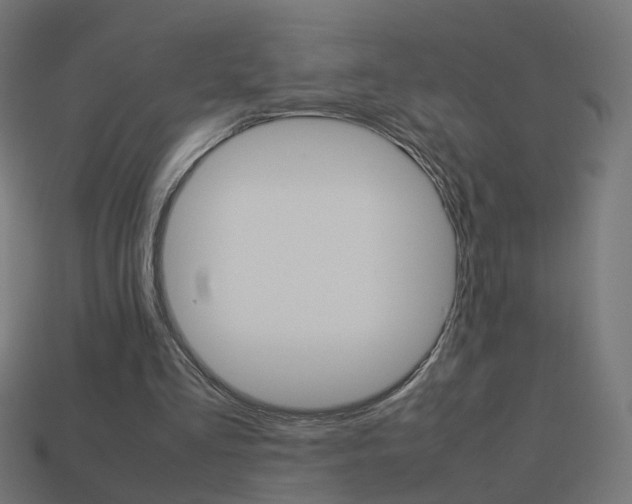 X0000114150293200910081119