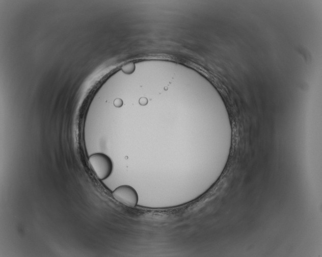 X0000114150294200910081119