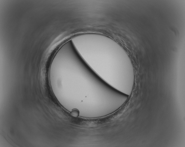 X0000114150295200910081119