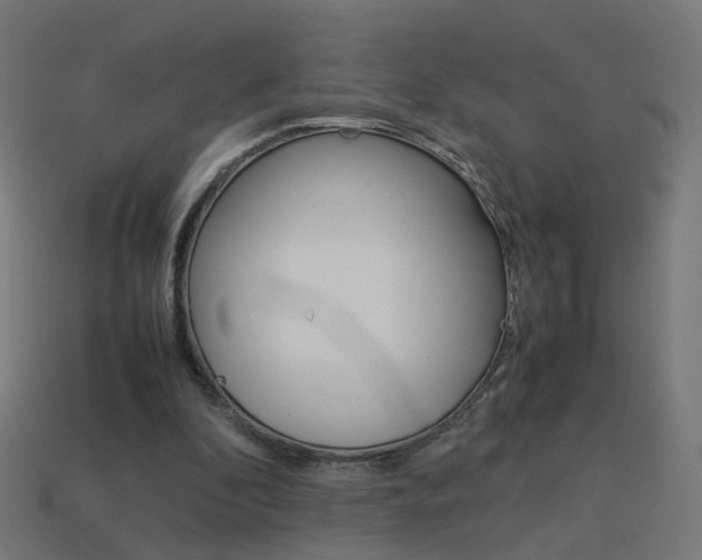 X0000114150296200910081119