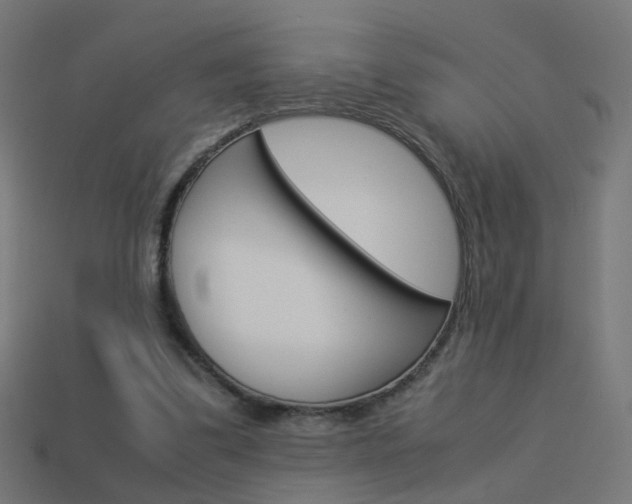 X0000114150299200910081118