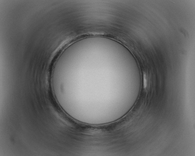 X0000114150300200910081118