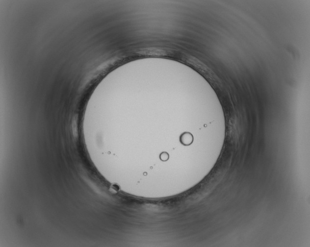 X0000114150302200910081118