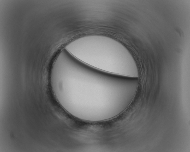 X0000114150303200910081118