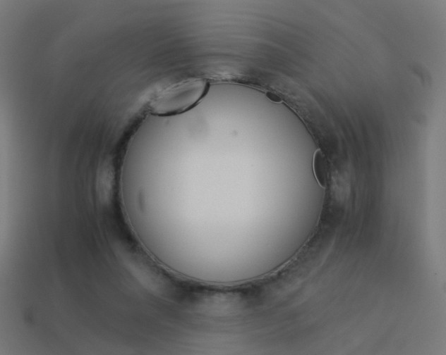 X0000114150304200910081118