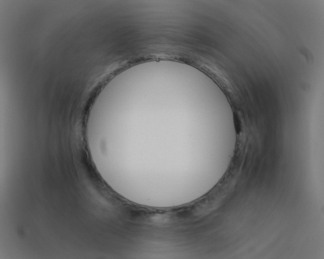 X0000114150306200910081118