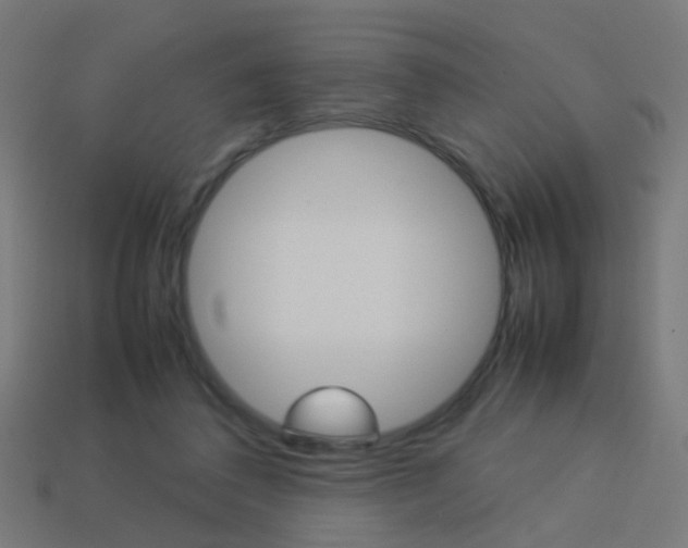 X0000114150308200910081118
